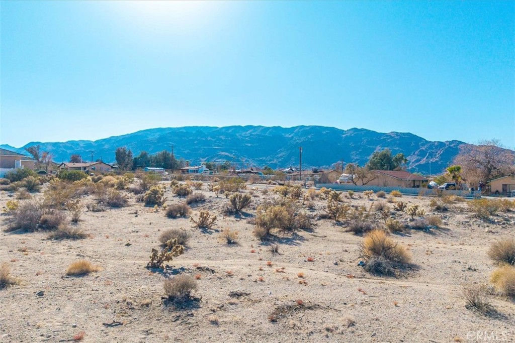 MLS #JT25028804 image #9