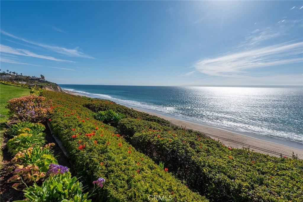 MLS #SR25259326 image #29