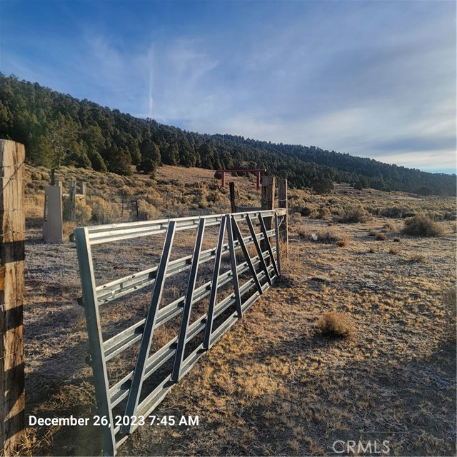 Detail Gallery Image 1 of 8 For 2750 Erwin Ranch Rd, Big Bear City,  CA 92314 - – Beds | – Baths