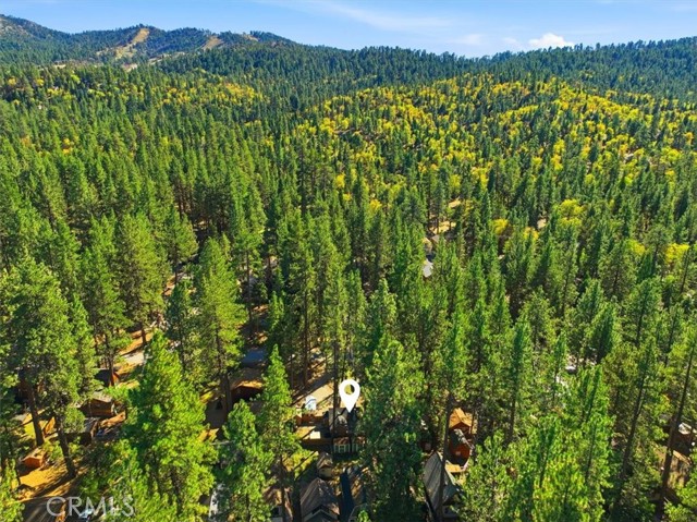 42770 Cedar, Big Bear Lake, CA 92315