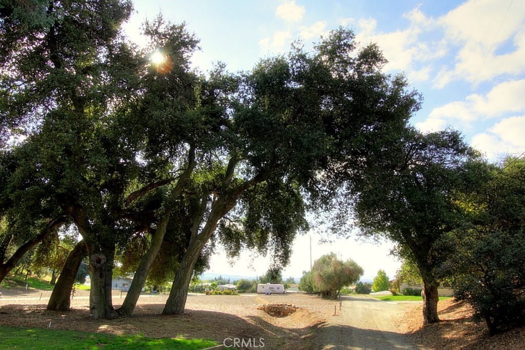 MLS #IG25034144 img 27