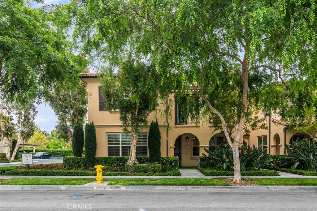 102 Rose Arch #23