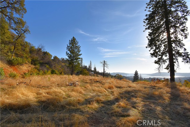 Detail Gallery Image 2 of 13 For 0 Canyon Creek Rd, Berry Creek,  CA 95966 - – Beds | – Baths