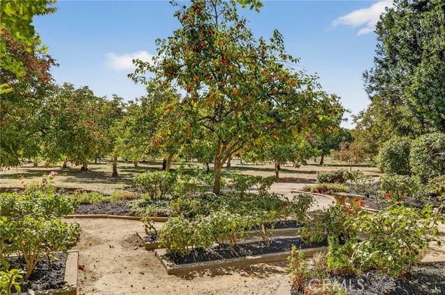 Detail Gallery Image 22 of 48 For 8970 S Butte, Sutter,  CA 95982 - 4 Beds | 3/1 Baths