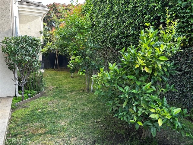 9551 Pentland Street, Temple City CA: https://media.crmls.org/medias/1ff9ee86-8e2b-4374-b9c2-c68152534d6c.jpg