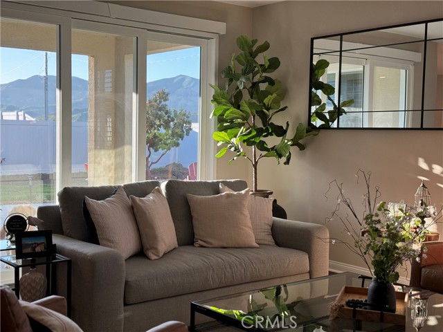 116 Wisteria Street photo 8
