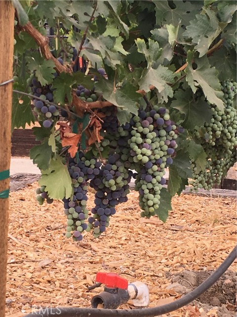 10161 Foothill Boulevard, Sylmar CA: https://media.crmls.org/medias/20028c7e-dfb0-4c32-a2e1-2cac74644ca2.jpg