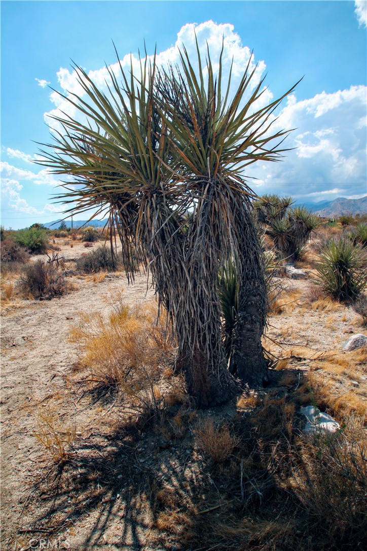 MLS #RS25195860 image #14