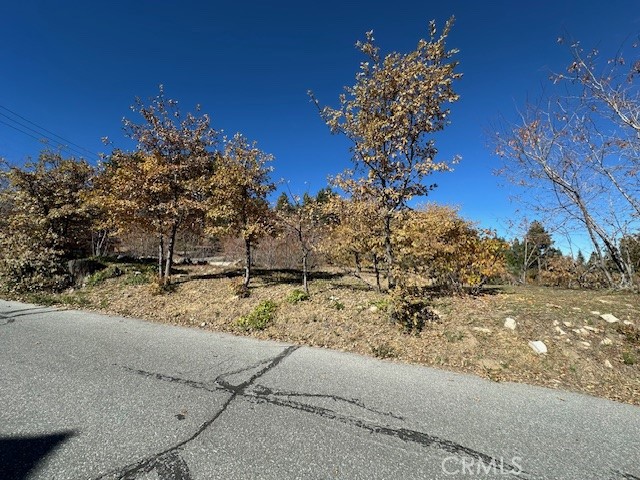 Detail Gallery Image 16 of 31 For 2379 Chicago Dr, Running Springs,  CA 92382 - – Beds | – Baths