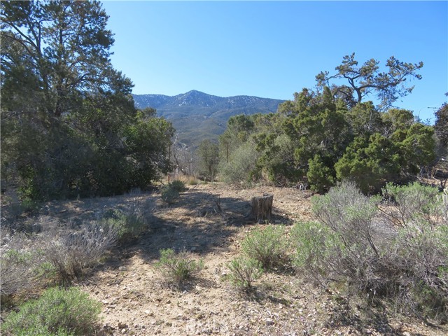 Detail Gallery Image 4 of 19 For 155 Lot #155 Buckthorn, Mountain Center,  CA 92561 - – Beds | – Baths