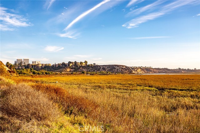 Detail Gallery Image 42 of 52 For 8145 Scholarship, Irvine,  CA 92612 - 2 Beds | 2 Baths