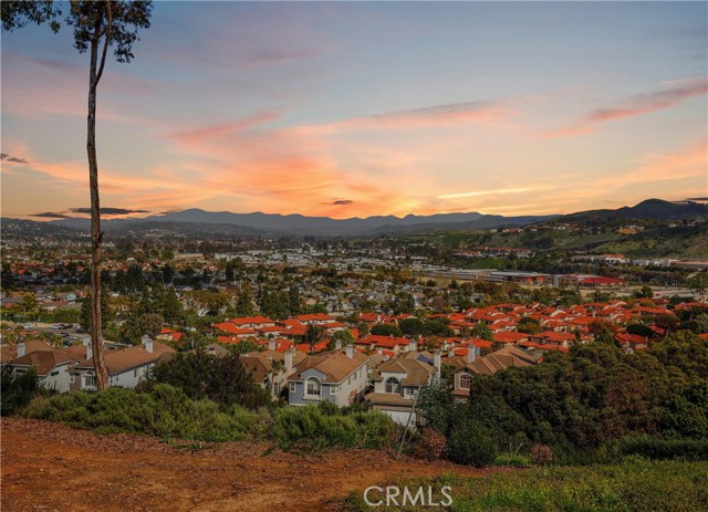 Detail Gallery Image 38 of 74 For 16 Lapis Avenue, Dana Point,  CA 92629 - 5 Beds | 5/1 Baths