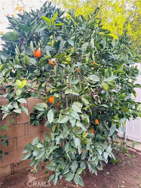 Detail Gallery Image 28 of 31 For 602 Dunes Ct, Ontario,  CA 91761 - 2 Beds | 2 Baths