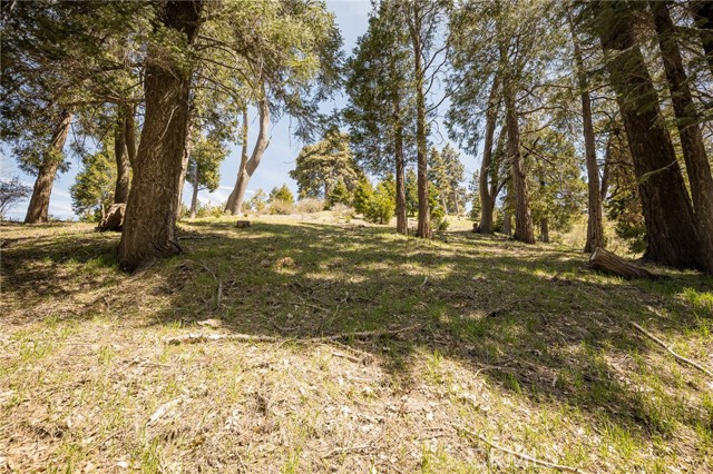 Detail Gallery Image 12 of 14 For 226 Hidden Forest Rd, Lake Arrowhead,  CA 92352 - – Beds | – Baths