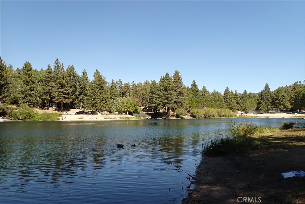 MLS #PW25254919 image #35