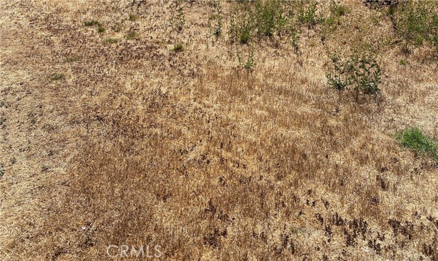 Front Image Thumbnail for CRPW25276254