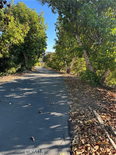 23192 De Anza Road, Temecula CA: https://media.crmls.org/medias/20244b88-302b-45b0-aef4-e36a44b69eed.jpg