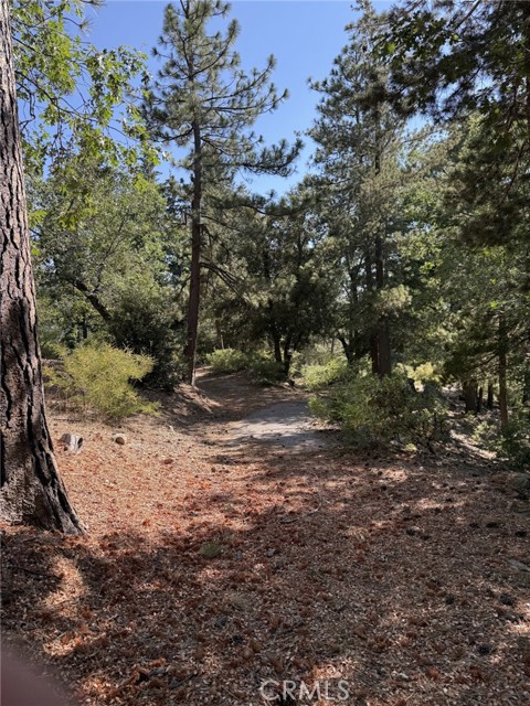 0 Ca-38, Angelus Oaks CA: https://media.crmls.org/medias/2025354b-a910-46ea-9fb7-031d7569c00d.jpg
