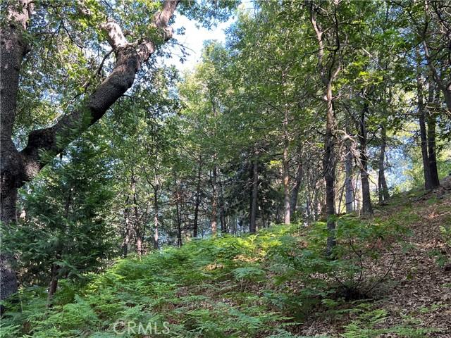 27453 North Bay Road, Lake Arrowhead CA: https://media.crmls.org/medias/20273ca6-8cc1-4e2c-868f-650b1b0d2f6f.jpg