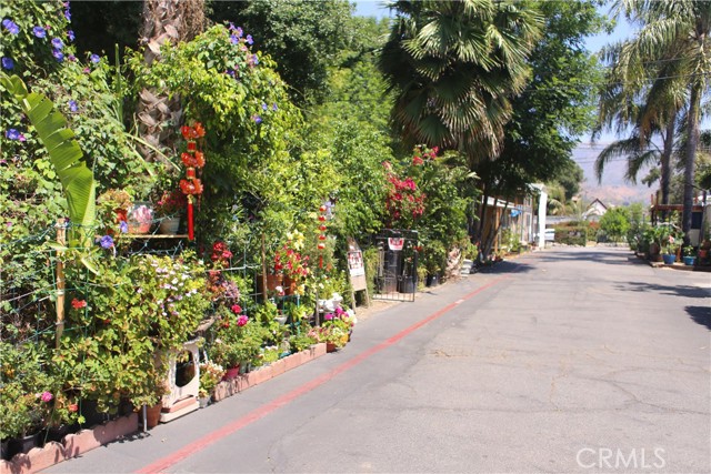 10799 Sherman Grove Avenue, Los Angeles CA: https://media.crmls.org/medias/202b2837-8365-4329-a58d-b2b68053f0e6.jpg