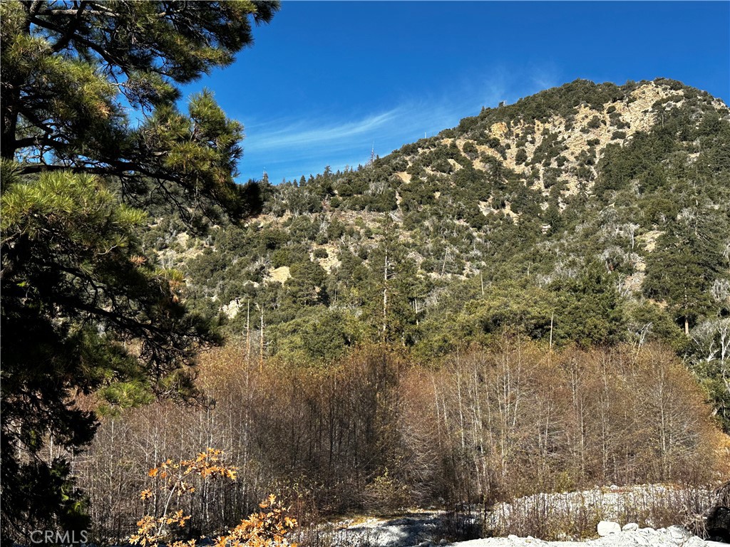 41385 Alder Drive, Forest Falls, CA 92339