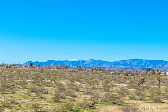 Detail Gallery Image 71 of 75 For 670 Ducor Ave, Landers,  CA 92285 - 4 Beds | 2 Baths