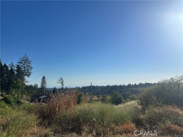 Front Image Thumbnail for CRPA26150924