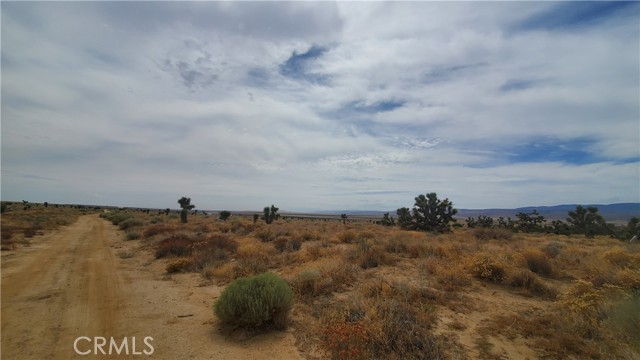 Detail Gallery Image 12 of 24 For 0 Vicinity Kingbird & 243rd  St W, Rosamond,  CA 93560 - – Beds | – Baths