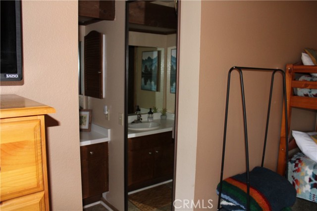 Mirrored Closet Door