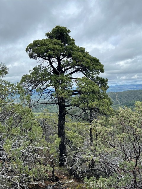 Detail Gallery Image 29 of 30 For 14903 Western Mine Rd, Middletown,  CA 95461 - – Beds | – Baths