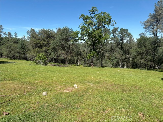 Detail Gallery Image 11 of 26 For 3465 Foothill Bld, Oroville,  CA 95966 - – Beds | – Baths