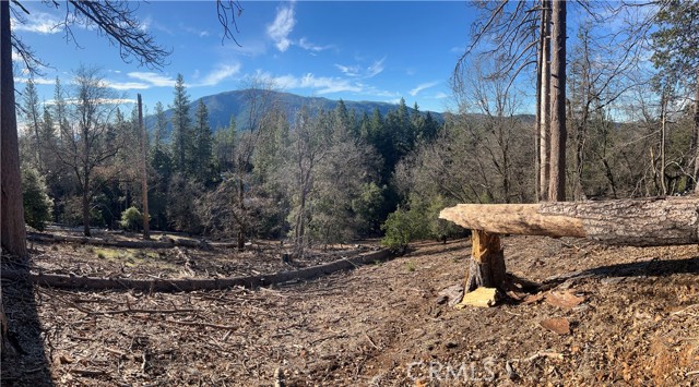 Detail Gallery Image 19 of 23 For 9457 Fox, Cobb,  CA 95426 - – Beds | – Baths