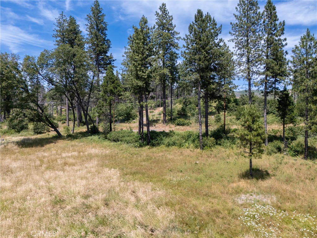 MLS #SN25260902 image #20