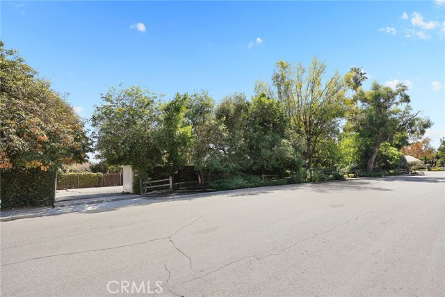 3625 Lombardy photo 48