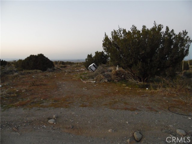 Front Image Thumbnail for CRPW26056383