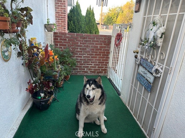 Image 13 of 21 For 4984 Belmont Avenue