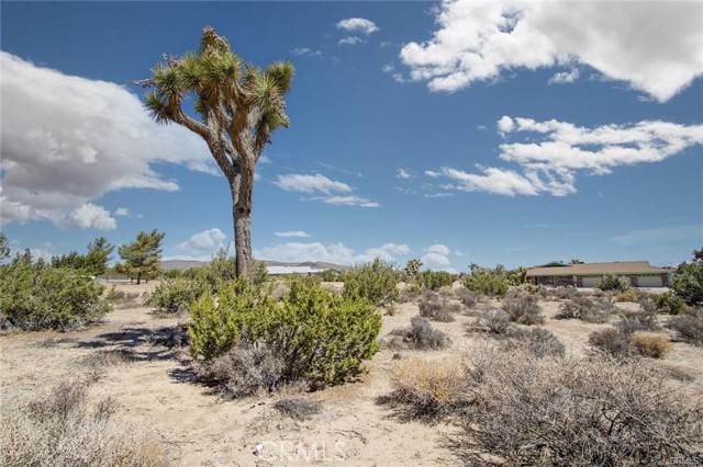 Detail Gallery Image 1 of 7 For 999 Grand Ave, Yucca Valley,  CA 92284 - – Beds | – Baths