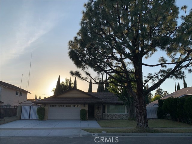 16825 Mount Younis St, Fountain Valley, CA 92708