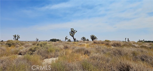 Detail Gallery Image 3 of 3 For 90 E Avenue I, Lancaster,  CA 93535 - – Beds | – Baths