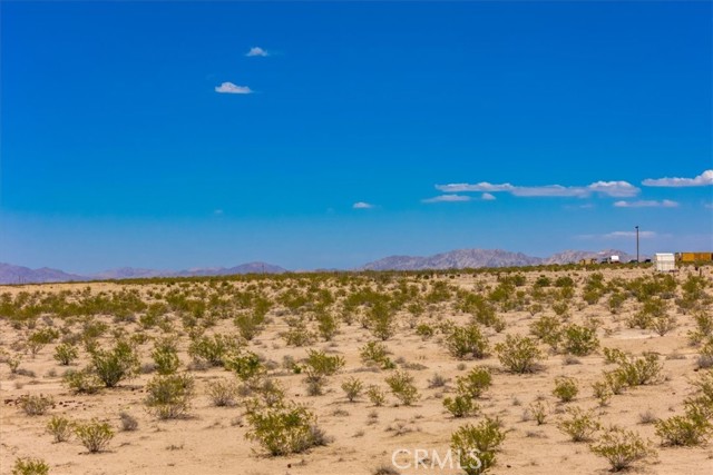 MLS #JT25263725 image #19