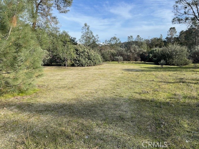Detail Gallery Image 13 of 19 For 0 Longhollow Dr, Coarsegold,  CA 93614 - – Beds | – Baths