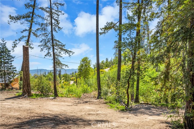 17380 Parnassus Drive, Cobb CA: https://media.crmls.org/medias/208b2bb9-fc7c-48a1-8061-85a028f92669.jpg