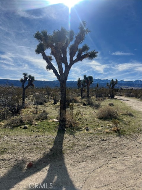 Detail Gallery Image 5 of 15 For 206 S Cor Ave X Largo Vista 2, Llano,  CA 93544 - – Beds | – Baths