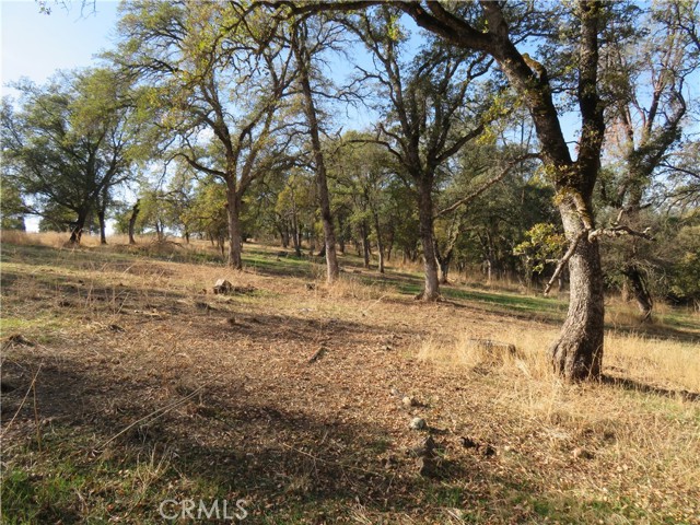 3465 Foothill Boulevard, Oroville, California 95966, ,Land,For Sale,3465 Foothill Boulevard,CROR23208825