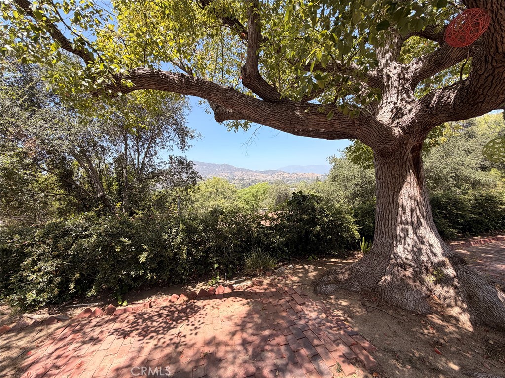 https://media.crmls.org/medias/209e22de-c77e-46c8-9bfc-257bb31f7cf4.jpg?preset=X-Large