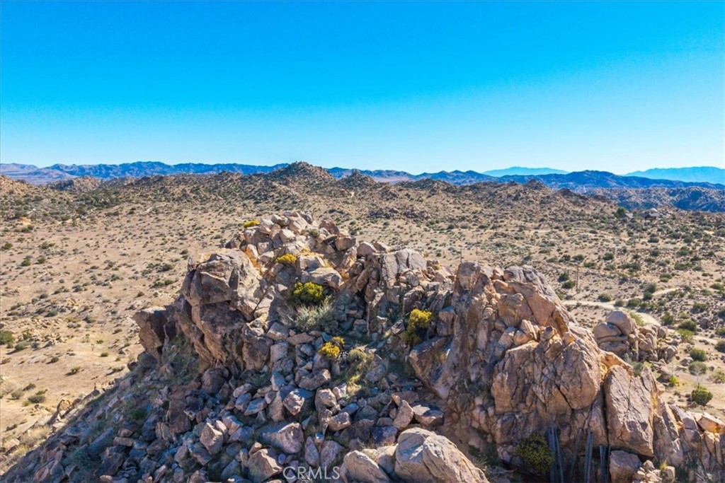 MLS #JT25250010 image #23