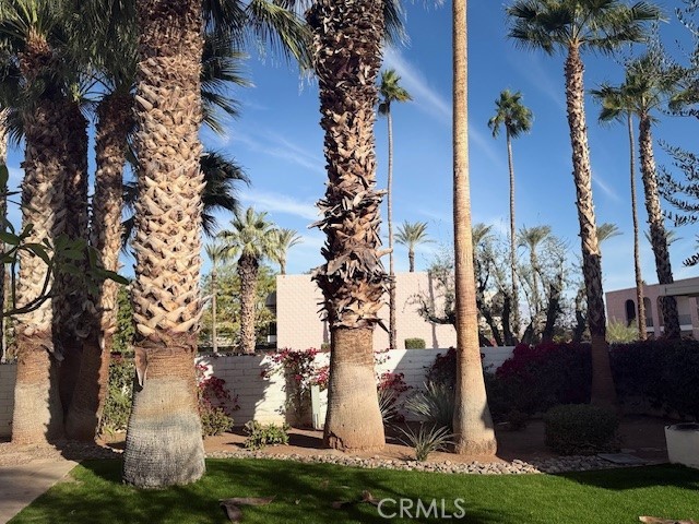 Detail Gallery Image 19 of 24 For 45225 Sunset Ln #B9 #1,  Palm Desert,  CA 92260 - 2 Beds | 2 Baths