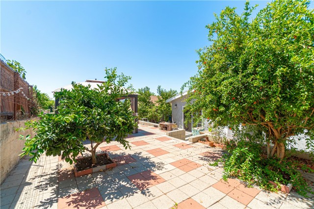 Backyard with Fruit Trees