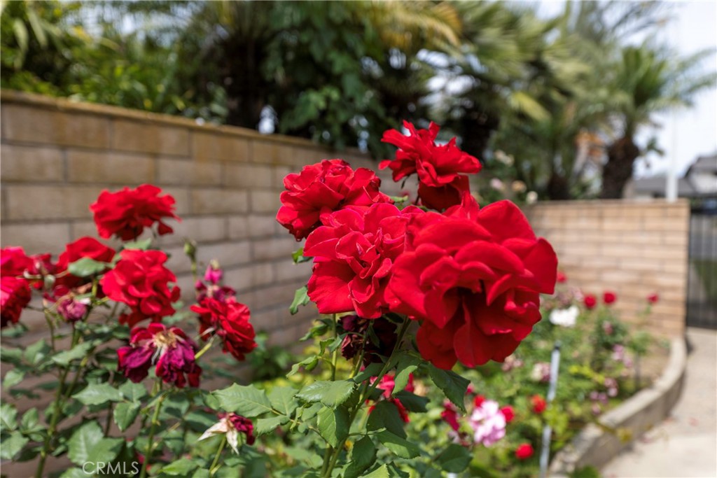 https://media.crmls.org/medias/20a71daf-2b7d-410e-9221-6f5e096e78e3.jpg?preset=X-Large
