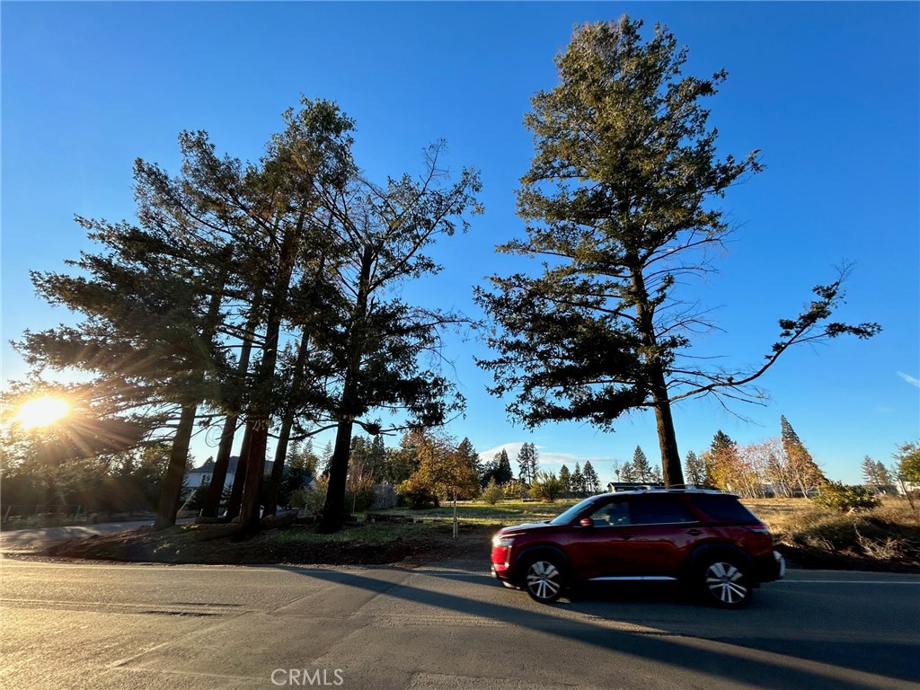 MLS #SN25247700 image #5